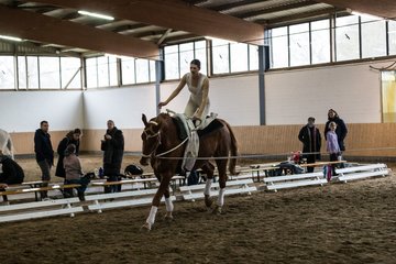 Bild 192 - Voltigierturnier